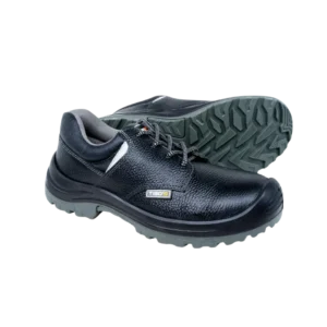 TG-01 DD Safety Shoes