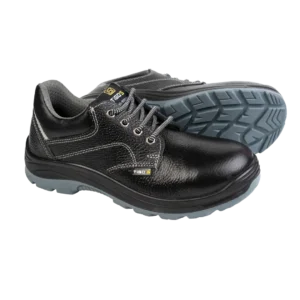 TS-102 DD Safety Shoes