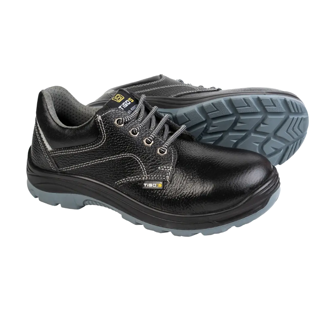 TS-102 DD Safety Shoes